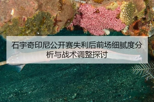 shi-yu-qi-yin-ni-gong-kai-sai-shi-li-hou-qian-chang-xi-ni-du-fen-xi-yu-zhan-shu-tiao-zheng-tan-tao-1-463.jpg